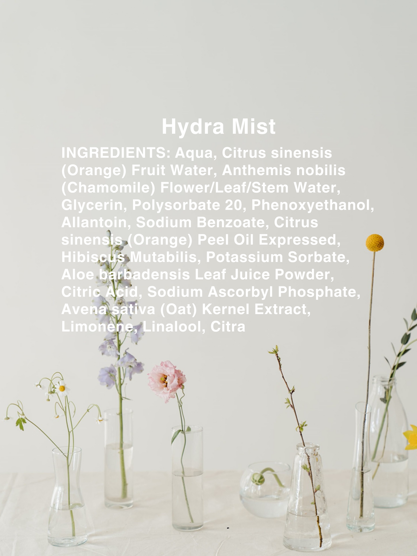 DERMA HYDRA MIST(refill)