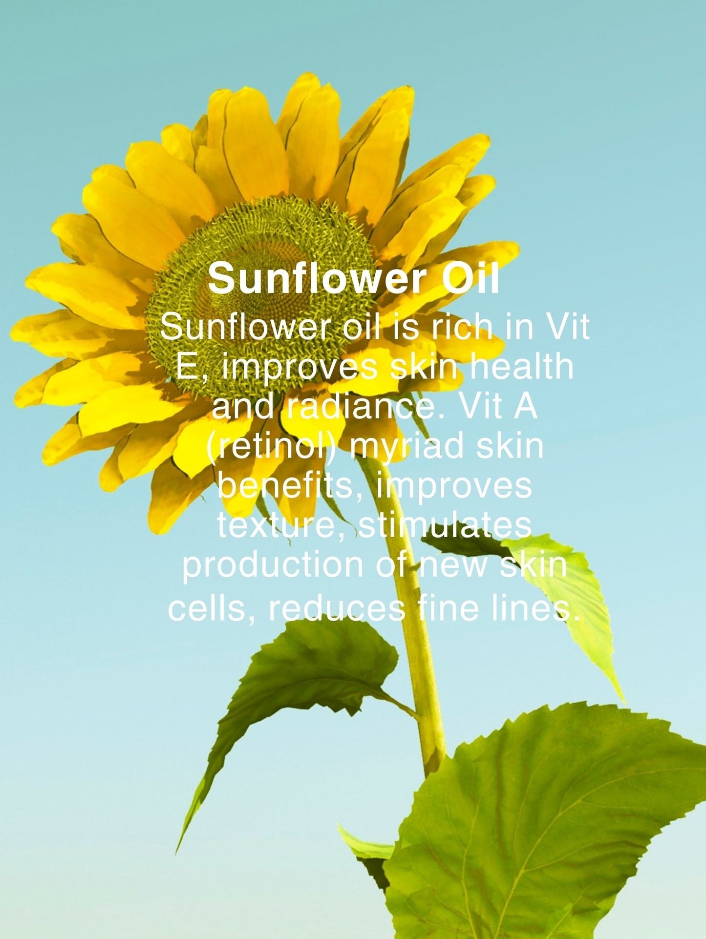 RADIANCE RENEW N-OILY
