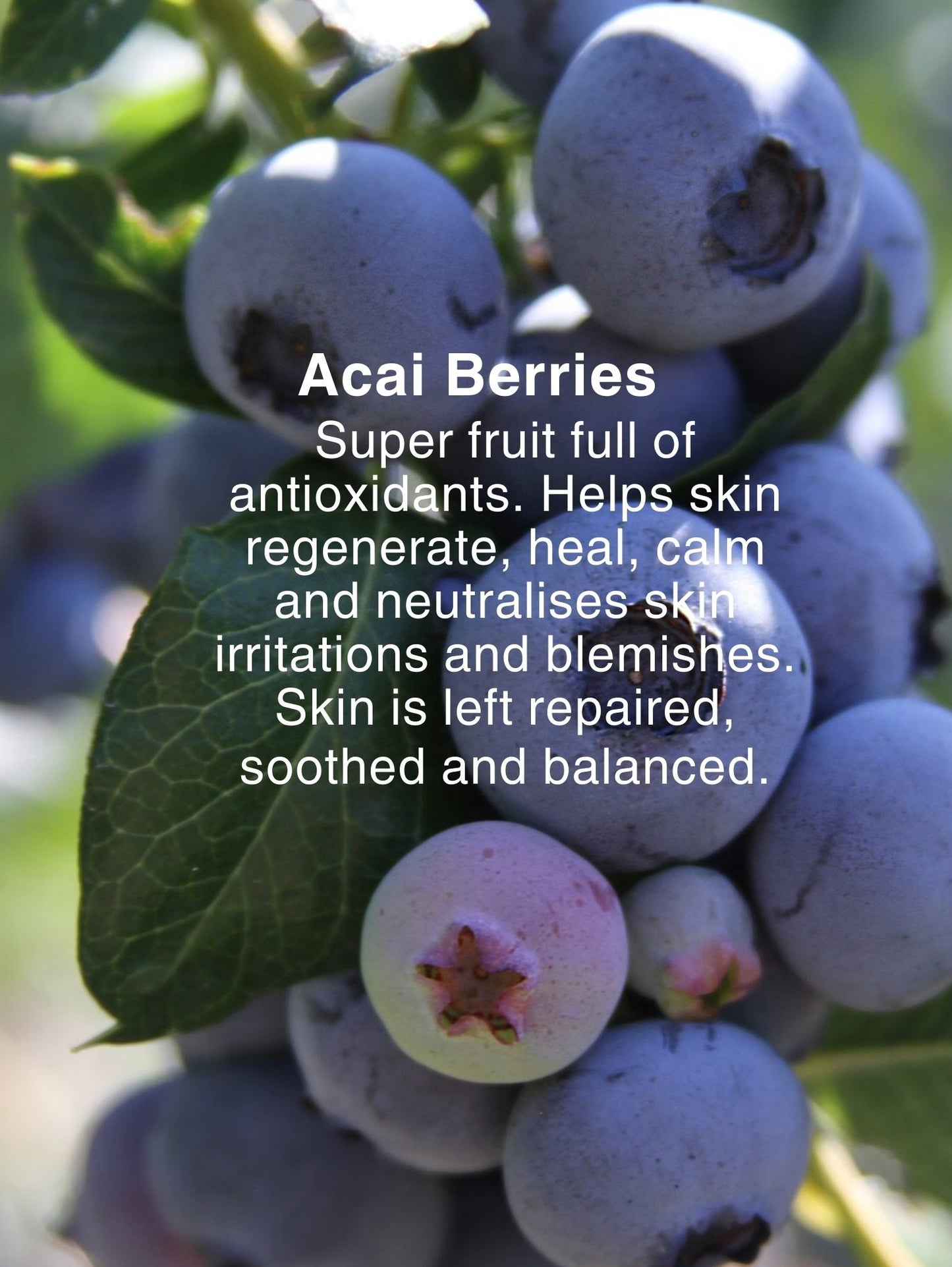 BERRY FACE WASH