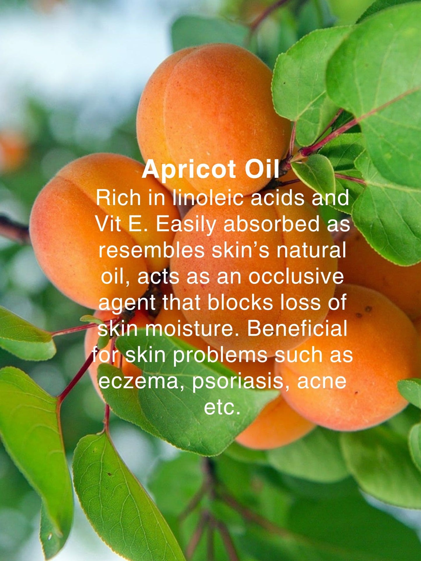 SERUDERMA OIL NO:1