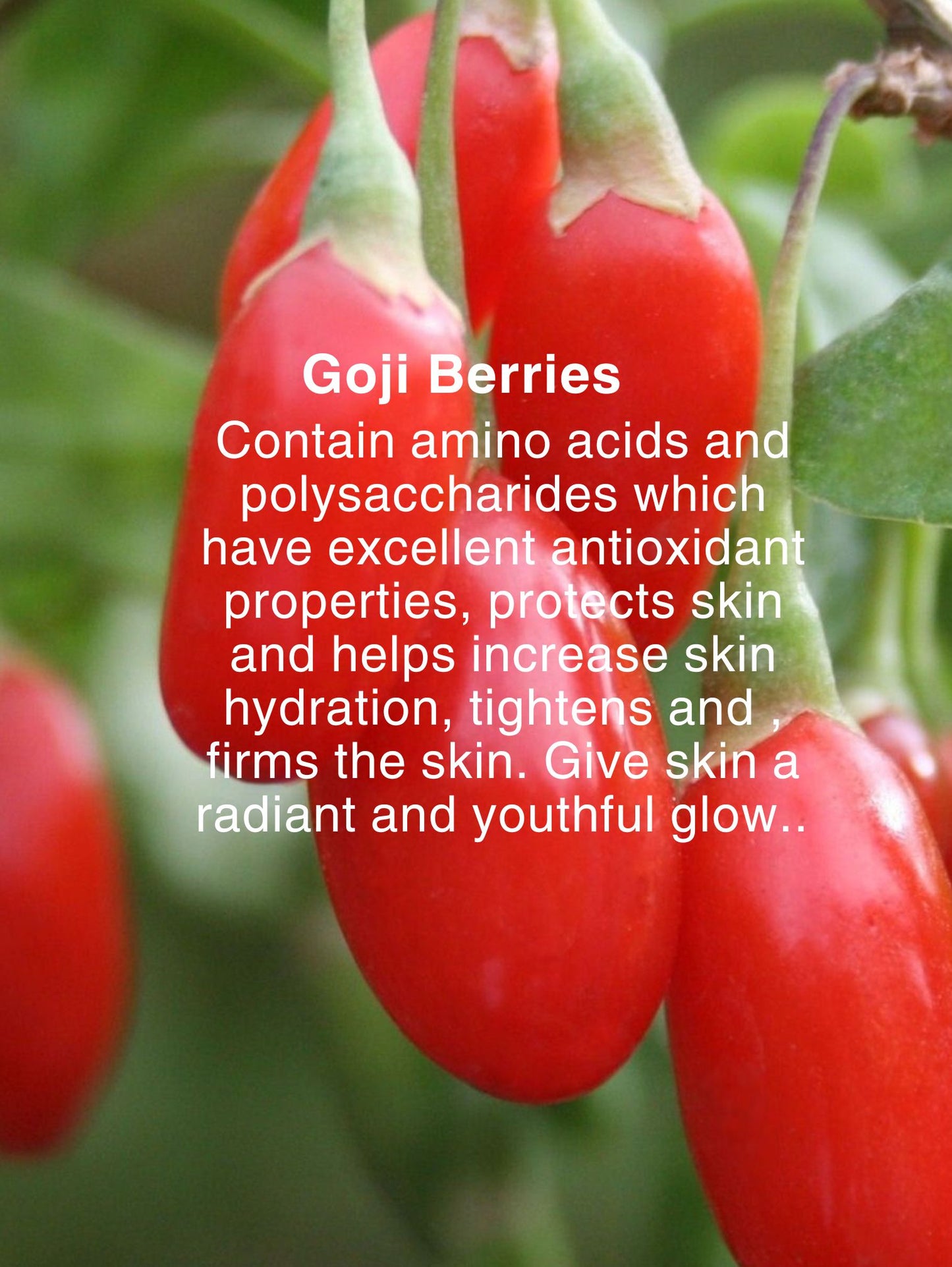 BERRY FACE WASH