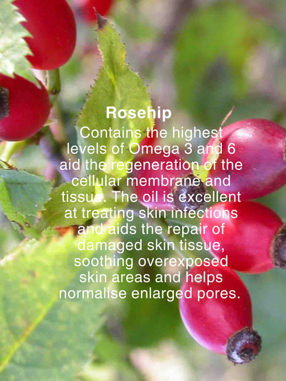 DERMATHERA OIL