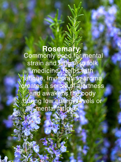 AROMA PULSE OIL: THERAPY