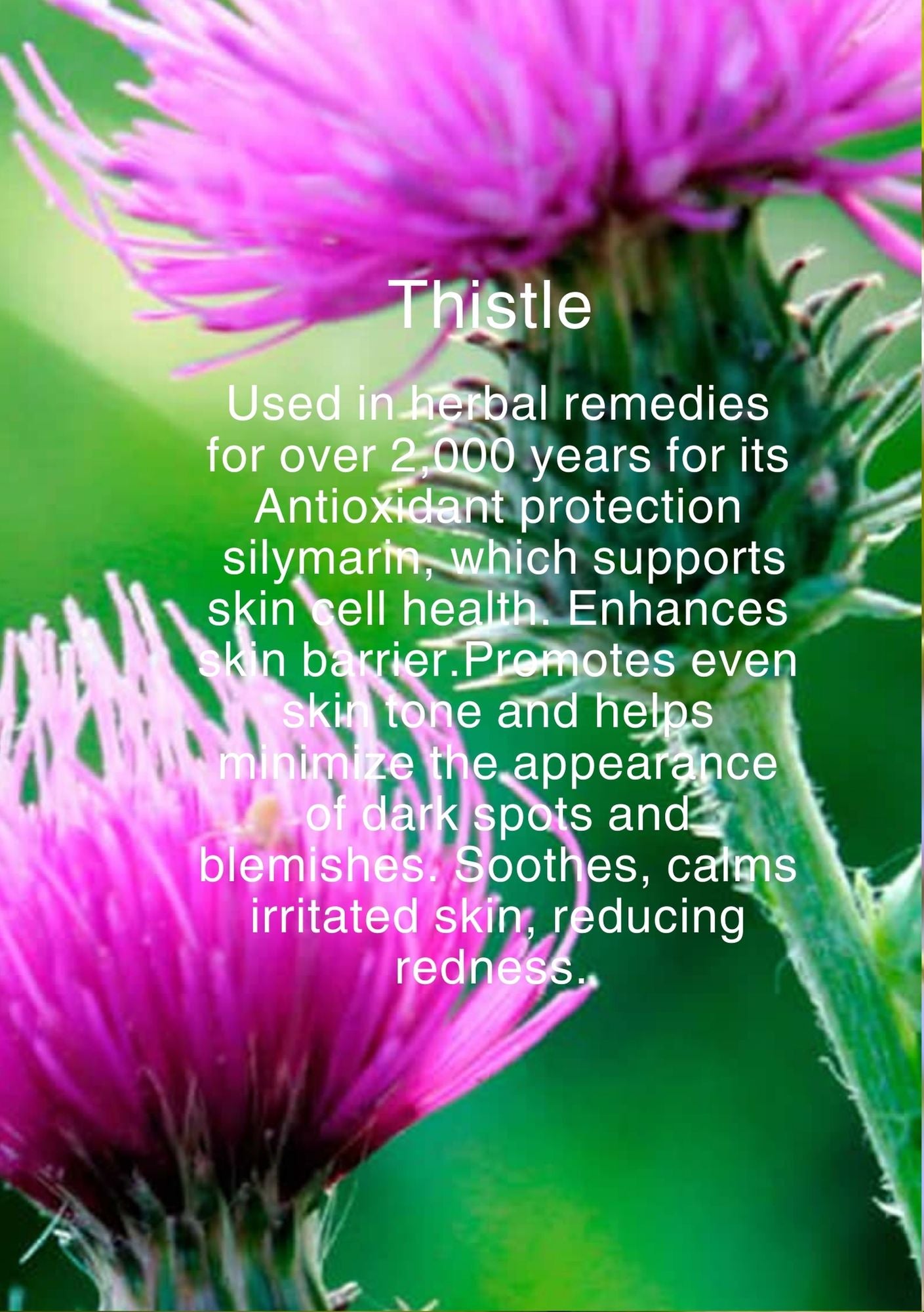DERMATHERA OIL