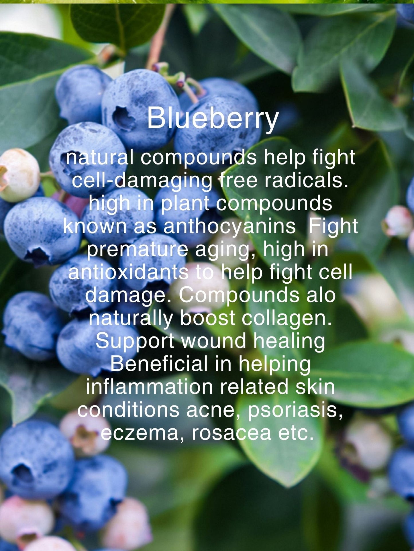BERRY FACE WASH
