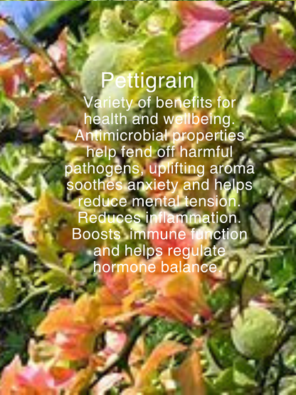 COLLAGEN ELIXIR